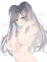 Rule 34 | 1girl, blush, breasts, check copyright, closed mouth, completely nude, copyright request, fingernails, grey hair, highres, idolmaster, idolmaster shiny colors, karan, long hair, looking at viewer, medium breasts, nipples, nude, purple eyes, simple background, solo, sweat, twintails, white background, yukoku kiriko