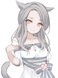 Rule 34 | 1girl, animal ears, warrior of light (ff14), blush, breasts, cat ears, cat girl, cat tail, cleavage, cleavage cutout, closed mouth, clothing cutout, collarbone, dress, fictional persona, final fantasy, final fantasy xiv, flower, forehead, grey hair, hand up, kanora, long hair, looking at viewer, miqo&#039;te, mole, mole under mouth, off-shoulder dress, off shoulder, parted bangs, pink flower, red eyes, short sleeves, simple background, small breasts, smile, solo, tail, tail raised, white background, white dress
