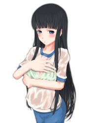 Rule 34 | 1girl, a certain high school gym uniform, bare arms, black hair, blue shorts, blush, bra, bra visible through clothes, breasts, closed mouth, commentary request, embarrassed, feet out of frame, green bra, gym shirt, gym shorts, gym uniform, hand up, highres, himegami aisa, long hair, looking at viewer, medium breasts, purple eyes, see-through, see-through shirt, shin (highest1192), shirt, short sleeves, shorts, simple background, solo, toaru majutsu no index, underwear, very long hair, wet, wet clothes, wet shirt, white background, white shirt