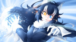 Rule 34 | 1girl, animal ears, attack, aura, black hair, blue eyes, breast pocket, breasts, commentary, commentary request, energy, fur collar, gloves, grey wolf (kemono friends), heterochromia, highres, incoming attack, kemono friends, long hair, looking at viewer, medium breasts, multicolored hair, naka (nicovideo14185763), necktie, pocket, solo, two-tone hair, white gloves, white hair, wolf ears, yellow eyes