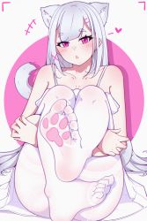 Rule 34 | 1girl, absurdres, animal ears, bad id, bad pixiv id, blush, cat ears, cat girl, cat tail, feet, female focus, foot focus, foreshortening, highres, long hair, looking at viewer, original, pantyhose, paw print socks, paw print soles, pink eyes, silver hair, soles, solo, tail, toes, yao (pixiv9482697)
