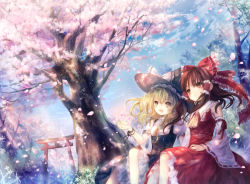 Rule 34 | 2girls, bad id, bad pixiv id, blonde hair, bow, braid, brown eyes, brown hair, cherry blossoms, day, detached sleeves, female focus, hair bow, hakurei reimu, hat, japanese clothes, kirisame marisa, light rays, long hair, miko, multiple girls, onineko, open mouth, petals, ribbon, scenery, sitting, sky, smile, sunbeam, sunlight, torii, touhou, tree, wind, witch, witch hat, wrist ribbon, yellow eyes
