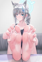 Rule 34 | 1girl, animal ear fluff, animal ears, barefoot, blue archive, blue eyes, competition swimsuit, cross, cross hair ornament, earrings, feet, feet on table, foot focus, foreshortening, grey hair, hair ornament, halo, hand on own knee, highres, inverted cross, jewelry, looking at viewer, one-piece swimsuit, ponytail, ruton-niki, shiroko (blue archive), shiroko (swimsuit) (blue archive), sitting, soles, solo, spread toes, stud earrings, sweat, swimsuit, toes, wolf ears