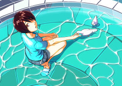 Rule 34 | 1girl, bird, blue shirt, brown eyes, brown hair, denim, denim shorts, dove, downblouse, fountain, from above, highres, looking at viewer, make days, open mouth, original, outstretched arm, sandals, shirt, shorts, solo, wading, water