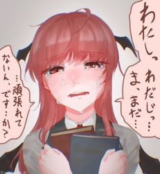 Rule 34 | 1girl, artist name, bat wings, black vest, blush, book, chromatic aberration, crossed wrists, crying, crying with eyes open, full-face blush, furrowed brow, grey background, hands up, head tilt, head wings, holding, holding book, koakuma, long hair, looking at viewer, nasachan 331, necktie, open mouth, portrait, red eyes, red hair, red necktie, shirt, simple background, snot, solo, speech bubble, tears, teeth, touhou, translation request, upper body, vest, white background, white shirt, wing collar, wings