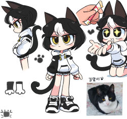 Rule 34 | 1girl, :3, animal ears, bell, black footwear, black hair, cat, cat ears, cat girl, cat tail, character sheet, hands in pockets, highres, hood, hoodie, humanization, jacket, jingle bell, kim crab, original, personification, photo-referenced, shoes, short hair, shorts, smile, sneakers, socks, sparkling eyes, tail, white socks, yellow eyes