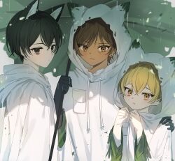 Rule 34 | 1girl, 2boys, animal ears, black eyes, black gloves, black hair, blonde hair, brown eyes, brown hair, coat, commentary request, dark-skinned female, dark skin, drawstring, e.g.o (project moon), earrings, fox ears, gloves, highres, holding, holding umbrella, hood, hood up, jewelry, korean commentary, limbus company, long sleeves, looking at viewer, love mintchoco, multiple boys, outis (project moon), project moon, rain, short hair, sinclair (project moon), umbrella, white coat, white raincoat, wide sleeves, yellow eyes, yi sang (project moon)