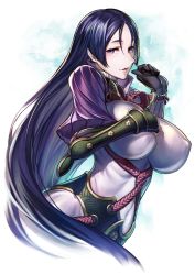 Rule 34 | 1girl, black gloves, blush, grabbing another&#039;s breast, breasts, covered navel, covered erect nipples, fate/grand order, fate (series), fingerless gloves, gloves, grabbing, highres, large breasts, long hair, looking at viewer, minamoto no raikou (fate), open mouth, purple eyes, purple hair, simosi, skin tight, smile, solo, very long hair
