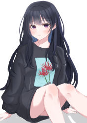 Rule 34 | 1girl, absurdres, bare legs, black hair, black shirt, blue hair, closed mouth, colored inner hair, dot nose, highres, inoue takina, knees up, long hair, long sleeves, looking at viewer, lycoris recoil, multicolored hair, odashisan, purple eyes, shadow, shirt, simple background, sitting, solo, two-tone hair, white background, wide sleeves