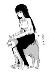 Rule 34 | 10s, 1girl, barefoot, blunt bangs, breasts, closed mouth, commentary, dog, dress shirt, full body, girls und panzer, greyscale, highres, light frown, long hair, long sleeves, looking to the side, monochrome, nishizumi shiho, pants, riding, shiba inu, shirt, sitting, solo, yawaraka black