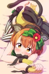 Rule 34 | animal ears, blush, cat day, cat ears, cat tail, covered mouth, fingerless gloves, gloves, green ribbon, hair ribbon, highres, hoshizora rin, looking at viewer, love live!, love live! school idol festival, love live! school idol project, lying, orange hair, ribbon, sen (sen0910), short hair, shorts, striped clothes, striped legwear, striped thighhighs, tail, thighhighs, vertical-striped clothes, vertical-striped thighhighs, yellow eyes, yellow shorts