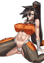 Rule 34 | 1girl, absurdres, bandaged arm, bandages, blue eyes, breasts, brown hair, clothes, dungeon and fighter, female focus, fighter (dungeon and fighter), gamjasssak, highres, large breasts, long hair, looking at viewer, muscular, muscular female, ponytail, simple background, solo, white background