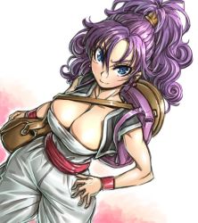 Rule 34 | 1girl, amania orz, backpack, bag, blue eyes, breasts, cleavage, crying bald eagle, curly hair, dragon quest, dragon quest iii, gradient background, hair between eyes, large breasts, long hair, looking at viewer, merchant (dq3), purple hair, smile, solo, square enix