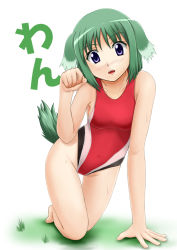 Rule 34 | 10s, 1girl, all fours, animal ears, bad id, bad pixiv id, blush, competition swimsuit, dog days, dog ears, dog girl, dog tail, eclair martinozzi, fuuma nagi, green hair, head tilt, looking at viewer, one-piece swimsuit, open mouth, outdoors, paw pose, purple eyes, short hair, simple background, solo, sweat, swimsuit, tail, teeth, thigh gap, upper teeth only, wet, white background