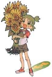 Rule 34 | 1girl, :d, bouquet, brown shorts, commentary, english commentary, flower, full body, green eyes, green hair, highres, holding, holding bouquet, koiwai yotsuba, looking at viewer, malan, open mouth, quad tails, raglan sleeves, red footwear, shoes, short hair, short sleeves, shorts, smile, sneakers, solo, standing, sunflower, white background, yellow flower, yotsubato!