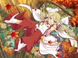 Rule 34 | 1girl, autumn leaves, blonde hair, kafuru (senran kagura), official art, purple eyes, senran kagura, senran kagura new link, tagme