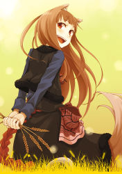 Rule 34 | 1girl, :d, animal ears, arms behind back, ayakura juu, blush, brown hair, fang, food, holding, holo, long hair, looking at viewer, looking back, official art, open mouth, pouch, red eyes, skirt, smile, solo, spice and wolf, tail, wheat, wolf ears, wolf tail, yellow background