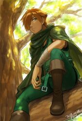 Rule 34 | 1boy, boots, brown footwear, brown hair, cape, closed mouth, dated, fate/extra, fate (series), fon-due (fonfon), green cape, green pants, green shirt, hair over one eye, in tree, looking to the side, male focus, outdoors, pants, robin hood (fate), shirt, short hair, signature, solo, tree