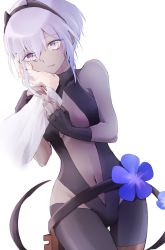 Rule 34 | 1girl, bare shoulders, blush, breasts, center opening, cleavage, clothing cutout, cowboy shot, dark-skinned female, dark skin, eyes visible through hair, fate/grand order, fate (series), fingerless gloves, flower, gloves, groin, hair between eyes, hairband, halterneck, hand on another&#039;s face, hands up, hassan of serenity (fate), head tilt, highres, holding another&#039;s arm, leaning to the side, legs together, leotard, light blush, looking at viewer, medium breasts, navel, parted lips, pov, pov hands, pralire, purple eyes, purple hair, short hair, side cutout, sidelocks, simple background, solo focus, standing, tareme, thigh strap, white background