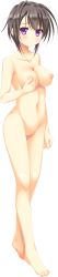Rule 34 | 1girl, absurdres, censored, completely nude, full body, highres, long image, lost echoes, mosaic censoring, nipples, non-web source, nude, official art, pussy, solo, tall image, tamiya akito, transparent background