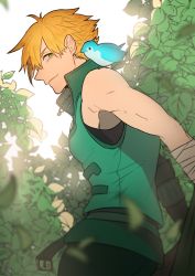 Rule 34 | 1boy, bird, closed mouth, fate/grand order, fate (series), forest, from side, green eyes, hair over one eye, komona, leaf, male focus, nature, orange hair, plant, profile, robin hood (fate), short hair, smile, solo