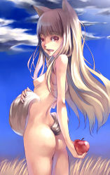 Rule 34 | 00s, 1girl, animal ears, apple, ass, blonde hair, breasts, flat chest, food, fruit, holding, holding food, holding fruit, holo, long hair, mikage sekizai, nude, small breasts, solo, spice and wolf, tail, wolf ears, wolf tail
