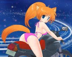 Rule 34 | 10s, 1girl, 2013, akira m, animal ears, ass, bikini, blue background, blue eyes, blush, breasts, cat ears, cat girl, cat tail, dated, from behind, large breasts, long hair, looking at viewer, looking back, motor vehicle, motorcycle, orange hair, pink bikini, ponytail, riding, september, smile, solo, swimsuit, tail