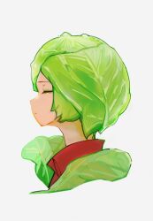 Rule 34 | 1girl, cabbage, closed eyes, closed mouth, collared shirt, commentary, cropped head, dot mouth, expressionless, food-themed hair, from side, green hair, higemu, original, portrait, profile, red shirt, shirt, short hair, simple background, solo, white background