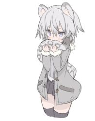 Rule 34 | 1girl, animal ears, biting, biting own tail, black thighhighs, blade (galaxist), cropped legs, fang, grey eyes, grey hair, holding, holding own tail, holding with tail, leopard ears, leopard tail, pleated skirt, prehensile tail, short hair, simple background, skirt, snow leopard, solo, tail, tail biting, thighhighs, white background
