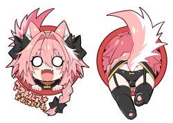 Rule 34 | 1boy, animal ears, ass, astolfo (fate), blush stickers, bow, braid, braided ponytail, commentary request, dog boy, dog ears, dog tail, eyes visible through hair, fangs, fate/apocrypha, fate (series), hair between eyes, hair bow, haoro, looking at viewer, male focus, multicolored hair, multiple views, o o, open mouth, panties, pink hair, simple background, skin fangs, streaked hair, tail, thighhighs, tongue, translation request, trap, two-tone hair, underwear, upskirt, white background, white hair