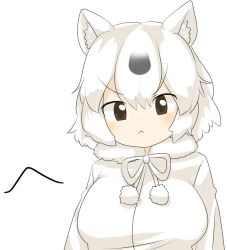 Rule 34 | 1girl, :&lt;, animal ears, bear ears, bear girl, blush, breasts, brown eyes, closed mouth, commentary request, fur collar, grey hair, hair between eyes, kemono friends, large breasts, lets0020, looking at viewer, medium bangs, multicolored hair, neck ribbon, polar bear (kemono friends), ribbon, short hair, simple background, smile, solo, streaked hair, sweater, upper body, v-shaped eyebrows, white background, white hair, white ribbon, white sweater
