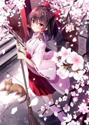 Rule 34 | 1girl, alternate costume, bad id, bad twitter id, blush, bow, branch, breasts, broom, brown hair, cat, cherry blossoms, commentary request, feet out of frame, from above, hair bow, hair tubes, hakama, hakama short skirt, hakama skirt, hakurei reimu, highres, holding, holding broom, hyurasan, japanese clothes, kimono, long sleeves, looking at viewer, miko, outdoors, petals, red bow, red eyes, red skirt, ribbon-trimmed sleeves, ribbon trim, short hair, sidelocks, skirt, small breasts, solo, standing, thighhighs, touhou, translation request, white kimono, white thighhighs, wide sleeves, zettai ryouiki
