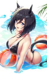 Rule 34 | 1girl, :d, animal ears, ass, ball, bare arms, bare shoulders, beachball, bikini, black bikini, black hair, blue eyes, blush, breasts, choker, cleavage, cloud, collarbone, commentary request, day, eishin flash (umamusume), highres, horizon, horse ears, horse girl, horse tail, large breasts, leaning forward, lens flare, looking at viewer, no tail, open mouth, osterei, outdoors, partially submerged, red choker, short hair, smile, solo, string bikini, sunlight, swept bangs, swimsuit, tail, thong bikini, umamusume, water