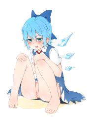 Rule 34 | 1girl, bare legs, barefoot, blue bow, blue dress, blue eyes, blue hair, blush, bow, censored, cirno, cleft of venus, dress, eyelashes, hair bow, hands on own knees, highres, ice, knees up, looking down, neck ribbon, no panties, open mouth, pee, peeing, puddle, pussy, red neckwear, ribbon, shimetsuki tanki, shirt, short hair, short sleeves, simple background, sitting, sleeveless, sleeveless dress, smile, steam, thighs, toes, touhou, white background, white shirt, wings
