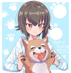 Rule 34 | 1girl, animal, birthday, blue background, border, brown eyes, brown hair, character name, closed mouth, commentary, dog, english text, girls und panzer, happy birthday, highres, holding, holding animal, long sleeves, looking at viewer, namatyoco, nishizumi maho, outside border, paw print, shiba inu, shirt, short hair, smile, solo, striped clothes, striped shirt, twitter username, white border, white shirt
