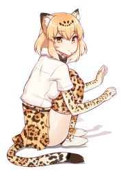 Rule 34 | 10s, 1girl, animal ears, artist name, bad id, bad pixiv id, blonde hair, bow, bowtie, breasts, elbow gloves, fur collar, gloves, goyain, jaguar (kemono friends), jaguar ears, jaguar print, jaguar tail, kemono friends, knees to chest, looking at viewer, medium breasts, shadow, shirt, short hair, short sleeves, simple background, sitting, skirt, solo, tail, thighhighs, thighs, triangle mouth, white background, yellow eyes