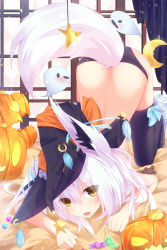 Rule 34 | 1girl, animal ears, black panties, black thighhighs, blush, bow, candy, crescent, fang, food, fox ears, fox tail, hair between eyes, halloween, hat, jack-o&#039;-lantern, long hair, looking at viewer, md5 mismatch, nagishiro mito, original, panties, pumpkin, resolution mismatch, source smaller, star (symbol), tail, thighhighs, underwear, white hair, witch, witch hat, yellow eyes