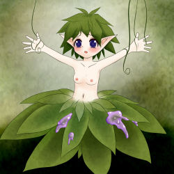 Rule 34 | 1girl, blue eyes, blush, breasts, female focus, green hair, highres, jereheim garden, monster girl, nipples, open mouth, plant girl, pointy ears, short hair, small breasts, solo