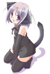 Rule 34 | 1girl, :d, animal ears, cat ears, grey hair, itachi chimaki, open mouth, purple eyes, short hair, smile, solo, tail, thighhighs