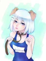 Rule 34 | 1girl, animal ears, arms up, belt, belt around neck, blue eyes, blue one-piece swimsuit, breasts, brown belt, closed mouth, commentary, competition swimsuit, date a live, dog ears, frown, hair between eyes, hair ornament, hairclip, highres, lips, looking at viewer, medium breasts, name tag, one-piece swimsuit, paw pose, school swimsuit, shari cote, solo, swimsuit, tobiichi origami, white hair