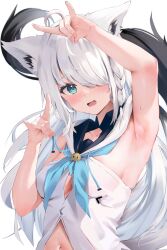 Rule 34 | 1girl, absurdres, ahoge, animal ears, arm up, armpits, bare shoulders, blue eyes, blue neckerchief, blush, braid, button gap, commentary request, fox shadow puppet, hair over one eye, highres, hololive, hood, hoodie, long hair, looking ahead, looking at viewer, navel, neckerchief, one eye covered, open mouth, shirakami fubuki, shirakami fubuki (1st costume), simple background, single braid, sleeveless, sleeveless hoodie, solo, sweatdrop, uechin ewokaku, upper body, variant set, virtual youtuber, white background, white hair, wolf ears