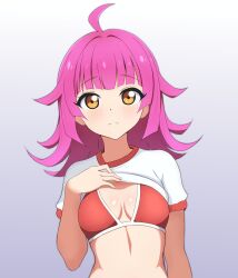 Rule 34 | 1girl, absurdres, ahoge, blunt bangs, blunt ends, breasts, clothes lift, commentary, dot nose, expressionless, grey background, hand up, highres, lifted by self, light blush, looking at viewer, love live!, love live! nijigasaki high school idol club, medium hair, midriff, mnkr98, pink hair, shirt, shirt lift, short sleeves, sidelocks, small breasts, solo, tennoji rina, upper body, white shirt, yellow eyes