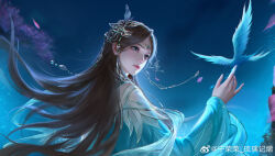 Rule 34 | 1girl, absurdres, bird, blue eyes, brown hair, circlet, closed mouth, douluo dalu, earrings, expressionless, from side, hair ornament, hand up, highres, jewelry, long hair, long sleeves, night, night sky, ning rongrong (douluo dalu), qiushui feng ke, second-party source, sky, solo, upper body