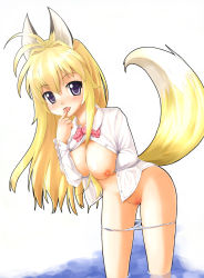 Rule 34 | 00s, 1girl, animal ears, bad id, bad pixiv id, blonde hair, bow, bowtie, breast hold, breasts squeezed together, breasts, enueichi, finger to mouth, fox ears, kanokon, large breasts, long hair, minamoto chizuru, open clothes, open shirt, panties, panty pull, purple eyes, shirt, solo, tail, underwear