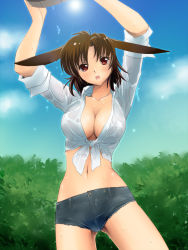 Rule 34 | 1girl, animal ears, arms up, blue sky, blush, breasts, brown eyes, brown hair, cleavage, cloud, collarbone, cutoffs, day, denim, denim shorts, front-tie top, highres, large breasts, midriff, navel, open mouth, original, pappel ostern, pixiv fantasia, pixiv fantasia 5, red eyes, shiny skin, shirt, short hair, short shorts, shorts, sky, sleeves rolled up, solo, thighs, tied shirt, wet, wet clothes, yagisaka seto