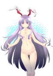 Rule 34 | 1girl, animal ears, breasts, efune (ef), female pubic hair, light purple hair, long hair, looking at viewer, navel, nipples, nude, pubic hair, pussy, rabbit ears, red eyes, reisen udongein inaba, small breasts, smile, solo, touhou, uncensored, very long hair, white background