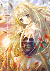 Rule 34 | 1girl, bad id, bad pixiv id, blonde hair, blue eyes, evening, female focus, field, lilithbloody, long hair, nature, outdoors, petals, school uniform, skirt, sky, solo, sun, wheat, youth-bloom
