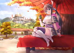 Rule 34 | 1girl, absurdres, armor, bench, blue eyes, boots, brown hair, cape, castle, creatures (company), crossed legs, cup, falling leaves, game freak, hair ornament, heroine (pokemon conquest), highres, japanese clothes, kimono, leaf, legs, long hair, looking at viewer, multicolored hair, nintendo, pink cape, pokemon, pokemon conquest, ponytail, purple thighhighs, red umbrella, sebu illust, sengoku musou, smile, solo focus, sunlight, teacup, thighhighs, thighs, tree, umbrella, very long