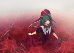 Rule 34 | 1girl, absurdres, bow, clothes lift, dress, flower, fog, frilled bow, frilled ribbon, frills, front ponytail, green hair, hair bow, hair ribbon, highres, kagiyama hina, lifted by self, outdoors, puffy short sleeves, puffy sleeves, red dress, ribbon, short sleeves, skirt, skirt lift, solo, spider lily, touhou, twitter username, yadoyuki