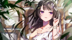 Rule 34 | 1girl, bangle, black hair, blunt bangs, bracelet, commentary, dress, flower, hand on own chest, holding, holding flower, jewelry, leaf, long hair, looking at viewer, off-shoulder dress, off shoulder, original, otoufu (gotouhu), parted lips, picture frame, plant, purple eyes, ring, sidelocks, signature, solo, white dress
